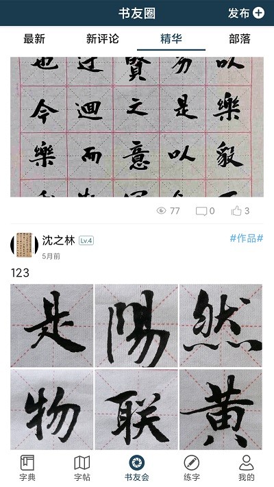 汉字书法字典下载